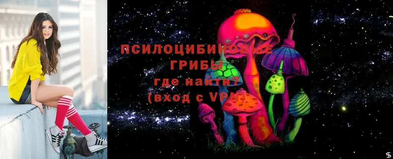 где продают   Дальнегорск  Псилоцибиновые грибы MAGIC MUSHROOMS 